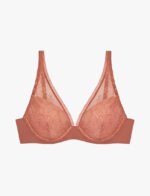 The Lace Plunge Bra